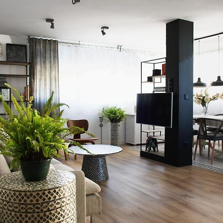 Torre Paris Daire Alicante Dış mekan fotoğraf